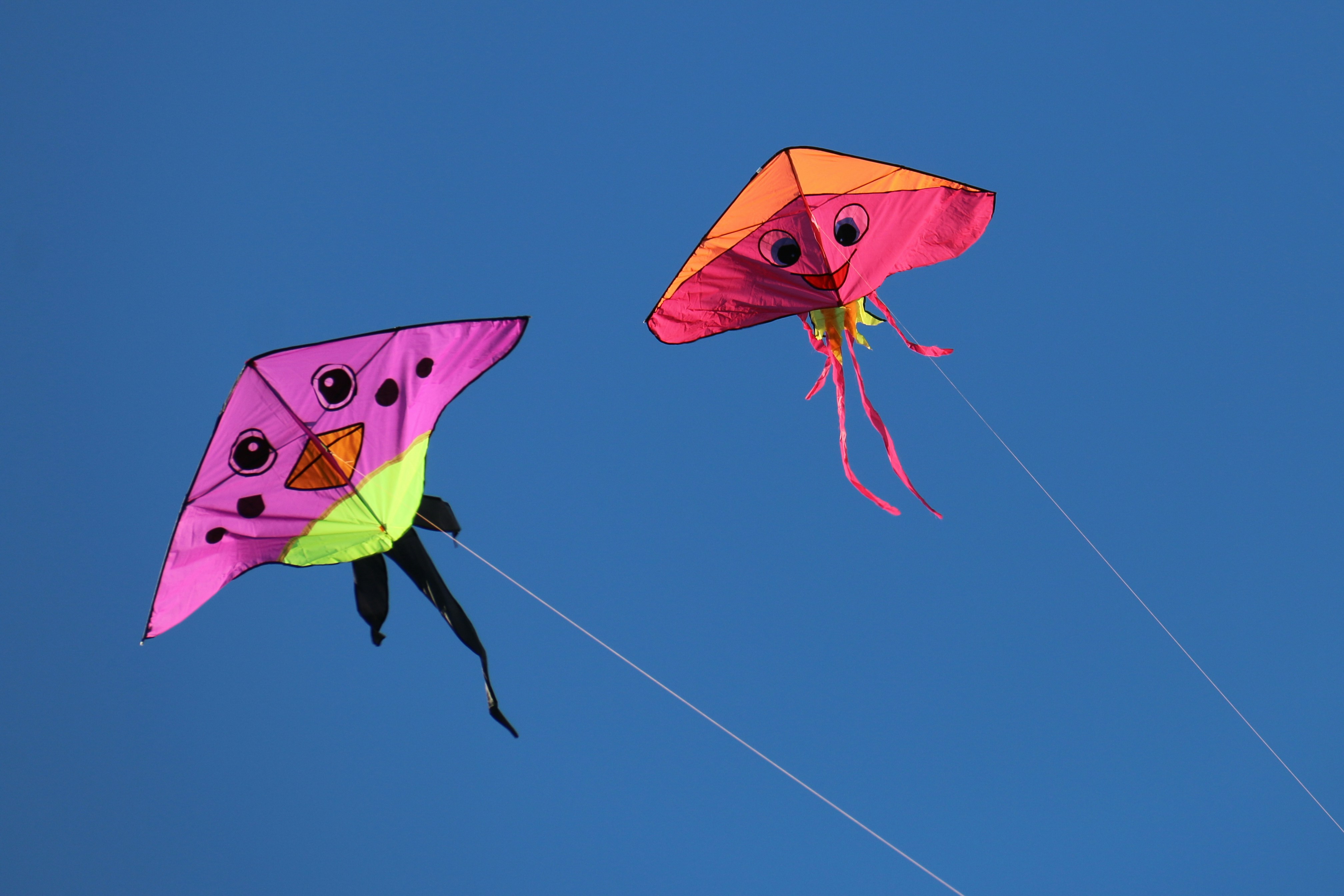 4th Annual Delhi Kite Flying Festival