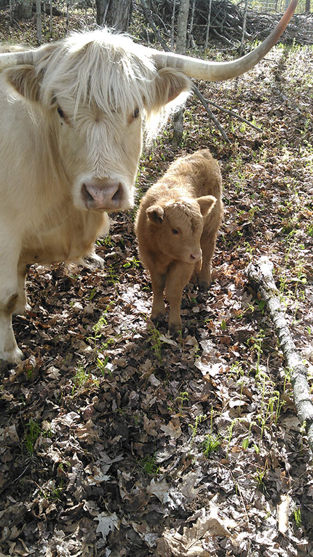 Hubbell Family Farm